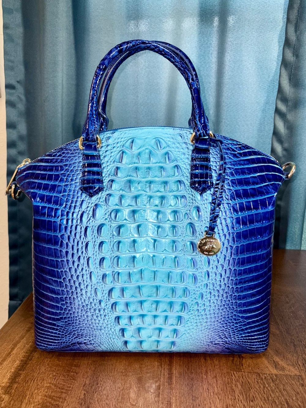 Brahmin EUC Lrg Duxbury - Affinity Ombré - Glitz/Metallic Accents - Like New - Picture 2 of 16